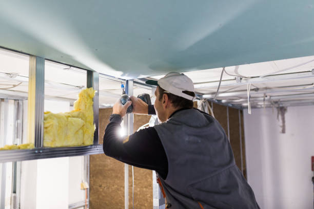 Best Insulation Repair Services  in Haw River, NC