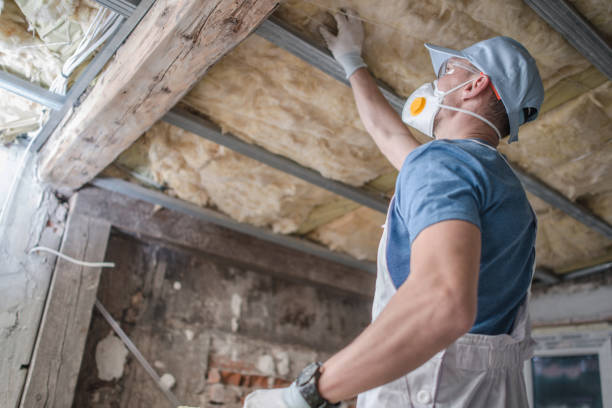 Best Insulation Removal  in Haw River, NC