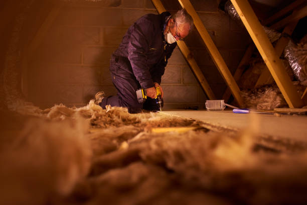 Best Energy-efficient Insulation  in Haw River, NC